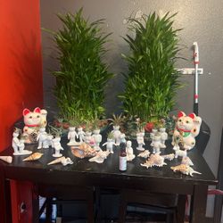 Bamboo Plants Planters Air Heads And airplanes, Maneki Cats