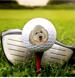 100 New Premium Golf Balls – Bulk Lot