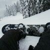 SB 