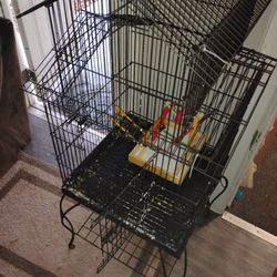 Birdcage 