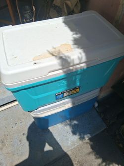 Cooler
