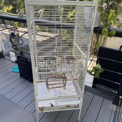 Bird Cage 