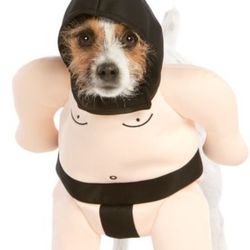 Zumo Dress Costume For Small Pet