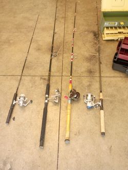 Fishing pole cane