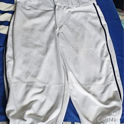 Champro Adult Medium White Baseball Knickers With Navy Piping