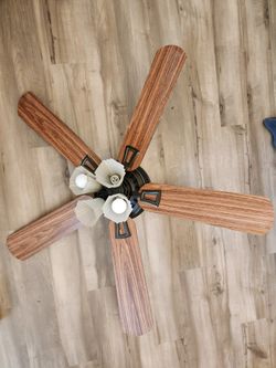 Ceiling Fan