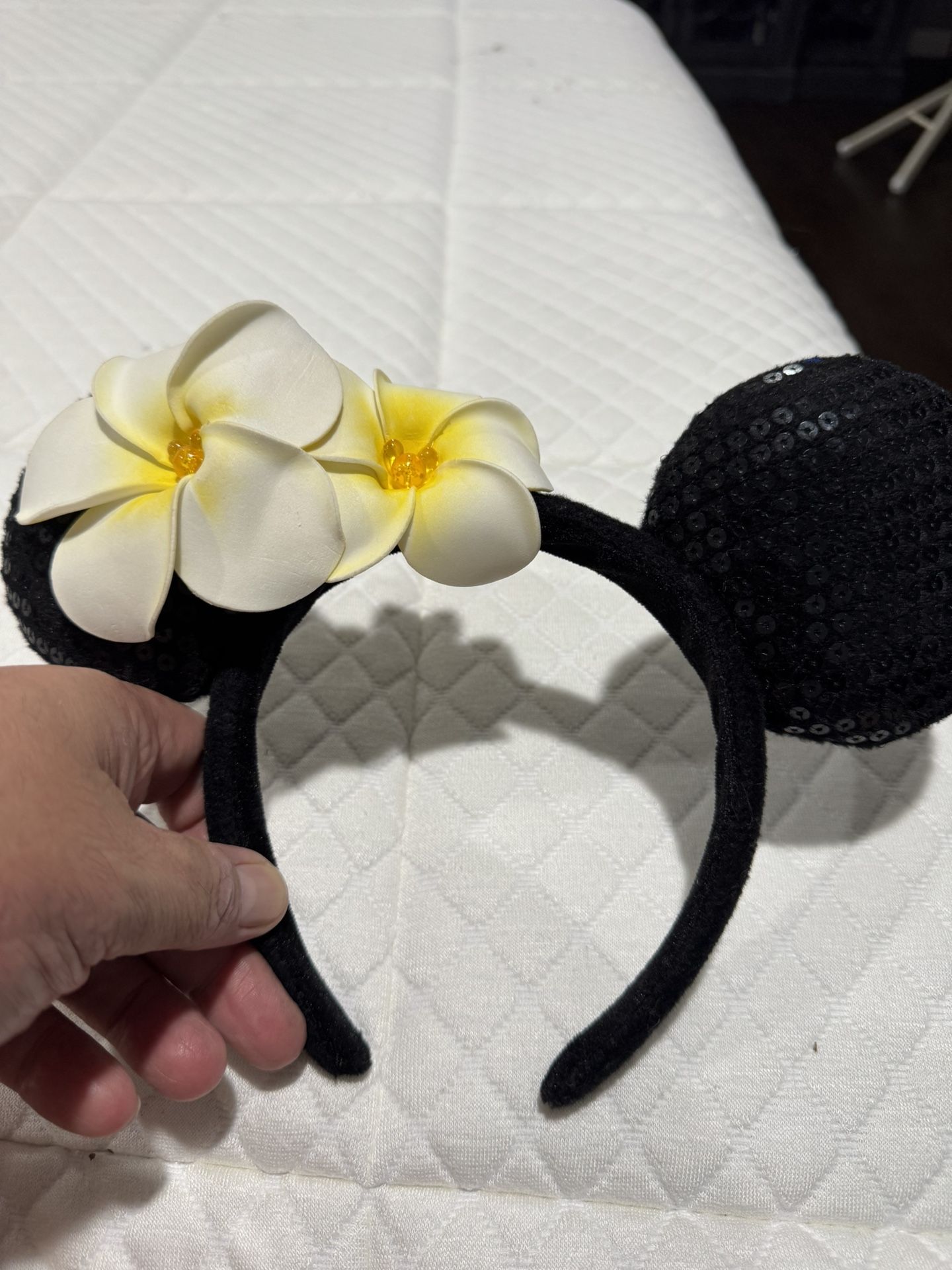Mickey Ears Plumeria