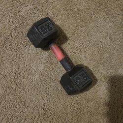 25lb Dumbbell 