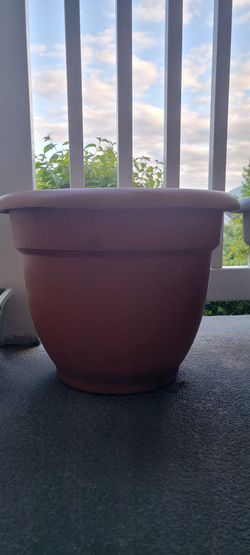 Pots and Planters