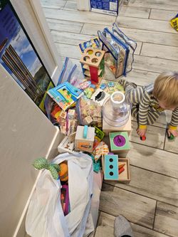 Large Lot of Toddler Toys and Books
