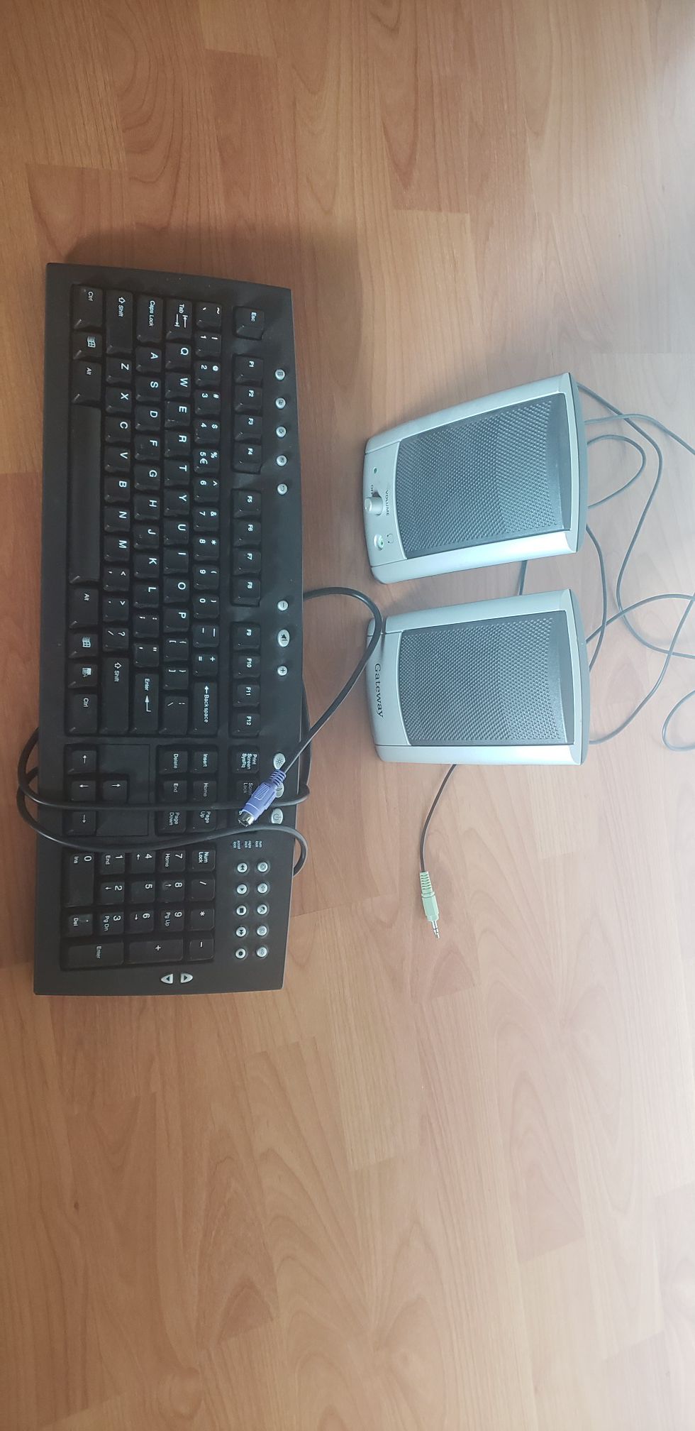 Computer keyboard & speakers
