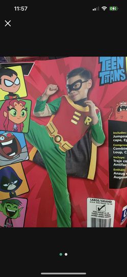 Teen Titans Costume Robin