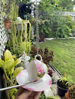 Bird feeder 🐦‍⬛🦋