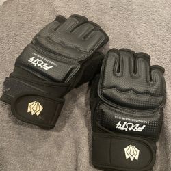 MMA Training/fighting Gloves