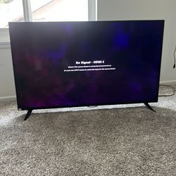 43 in Vizio flat screen tv