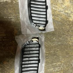 BMW F30 Stock Grills 