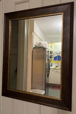 Dark Bronze Framed Mirror 22 X 28”