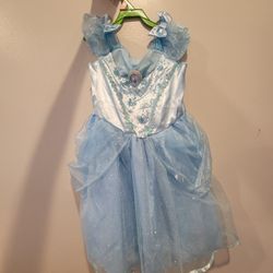 Cinderella Halloween Costume