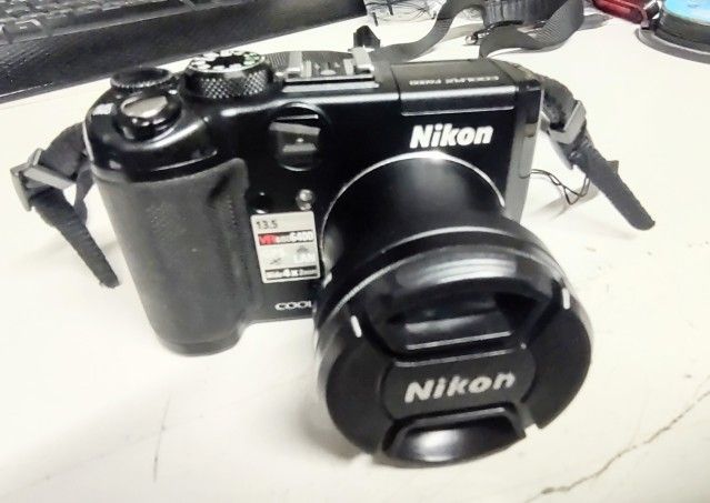Nikon Works Great P6000