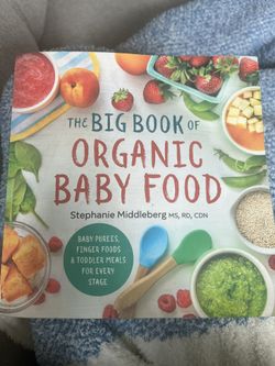 The Big Book Of Organic Baby Food