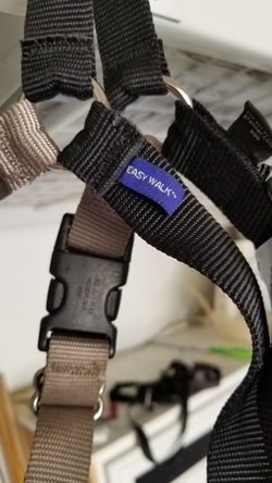 Easy walk harness