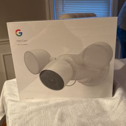 Google Nest Can With Floodlight