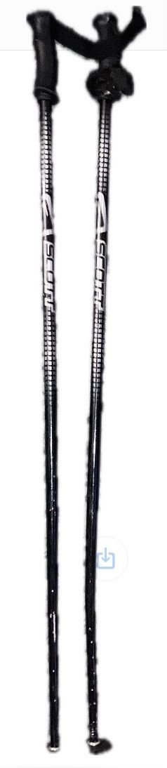 Ski Poles