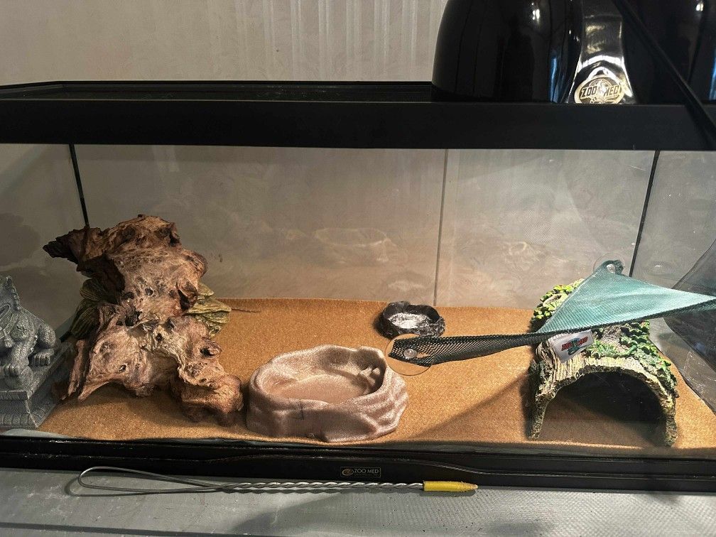 Full 40 Gallon Reptile Enclosure Setup 
