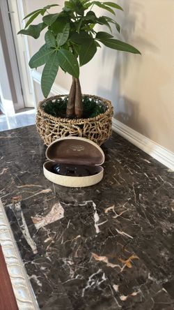 Coach Sunglasses With Case 