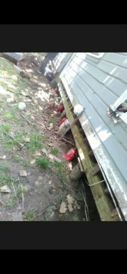 Yo nivelo casas y trailas