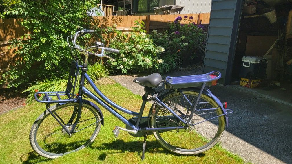 Cortina Roots Electric Bike From Amsterdam