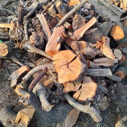Scrap Firewood 