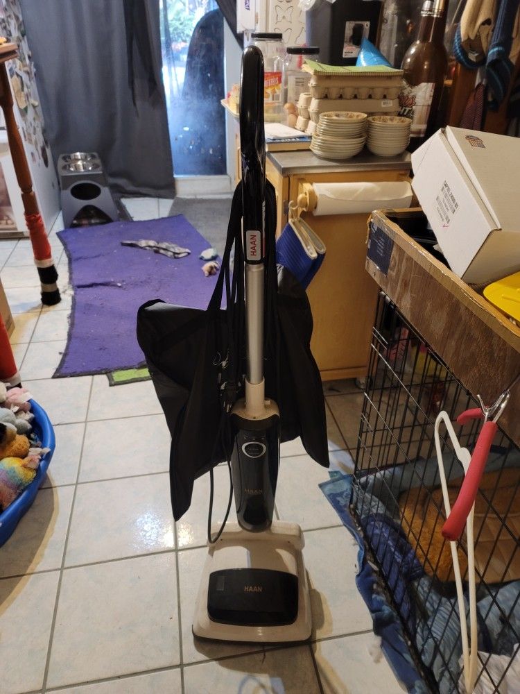 Steam Vac