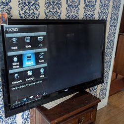 Vizio 55 Inch HDTV (Early) Smart Tv