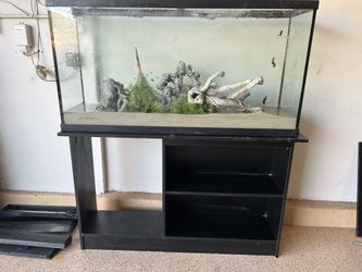60 gallon fish Tank  Aquarium 