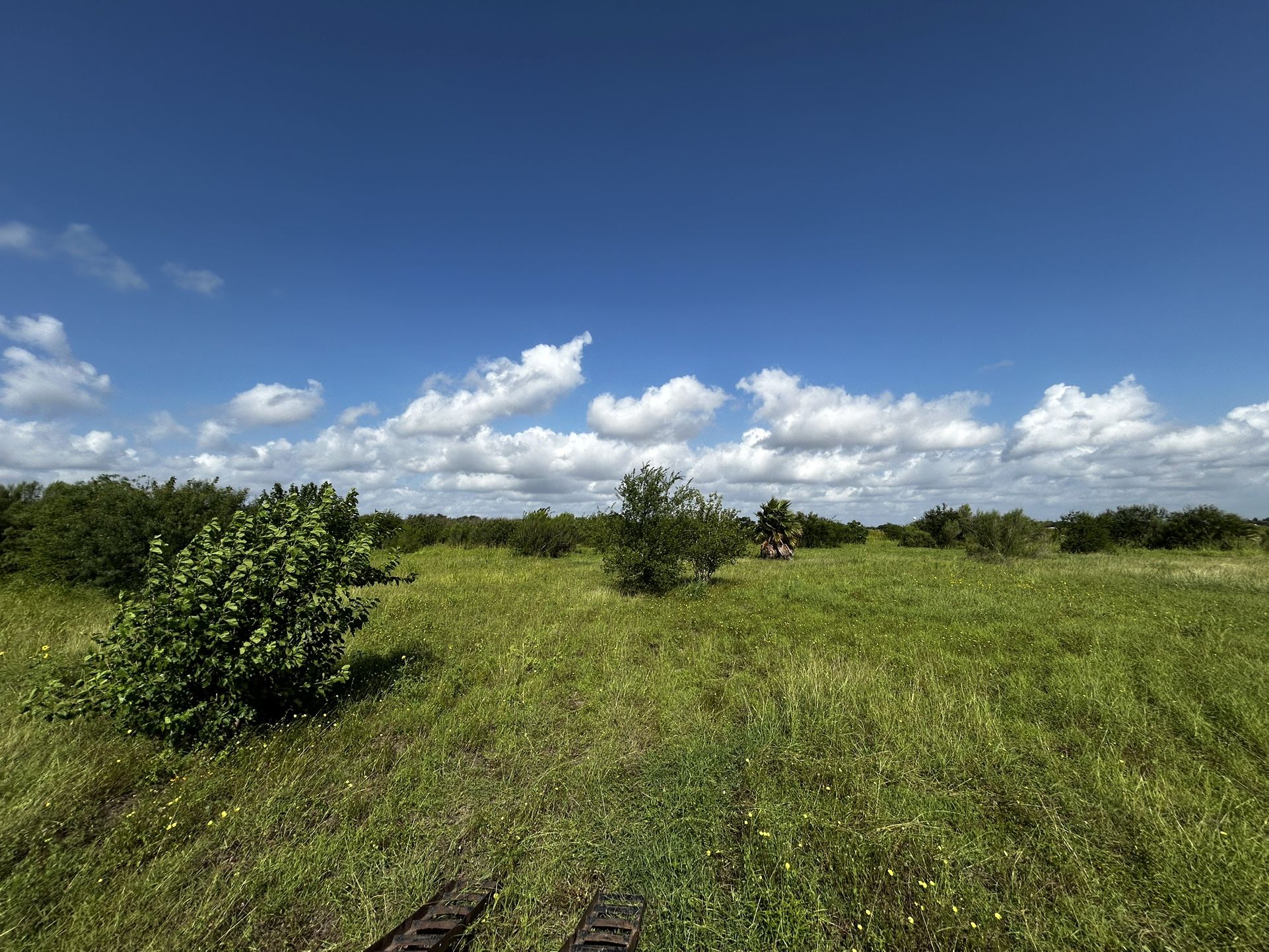 Grass Cutting For Sale