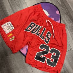 Chicago Jordan Mesh Short