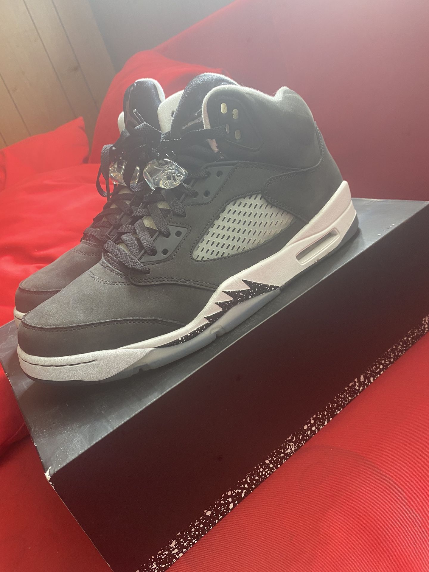 Air Jordan 5 Moonlight Size 11