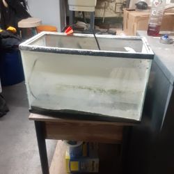 Fish Tank