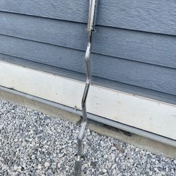 Olympic Curl Bar 