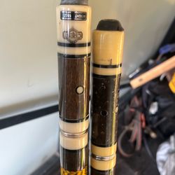 Two pool sticks