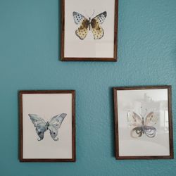 3 Butterfly Pictures 