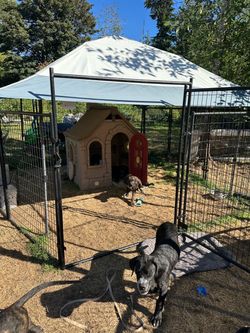 Tent for puppies +…