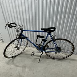 Schwinn Vintage Bike