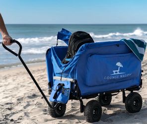 3 in 1 utility wagon