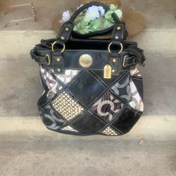 Beautiful Black Coach 