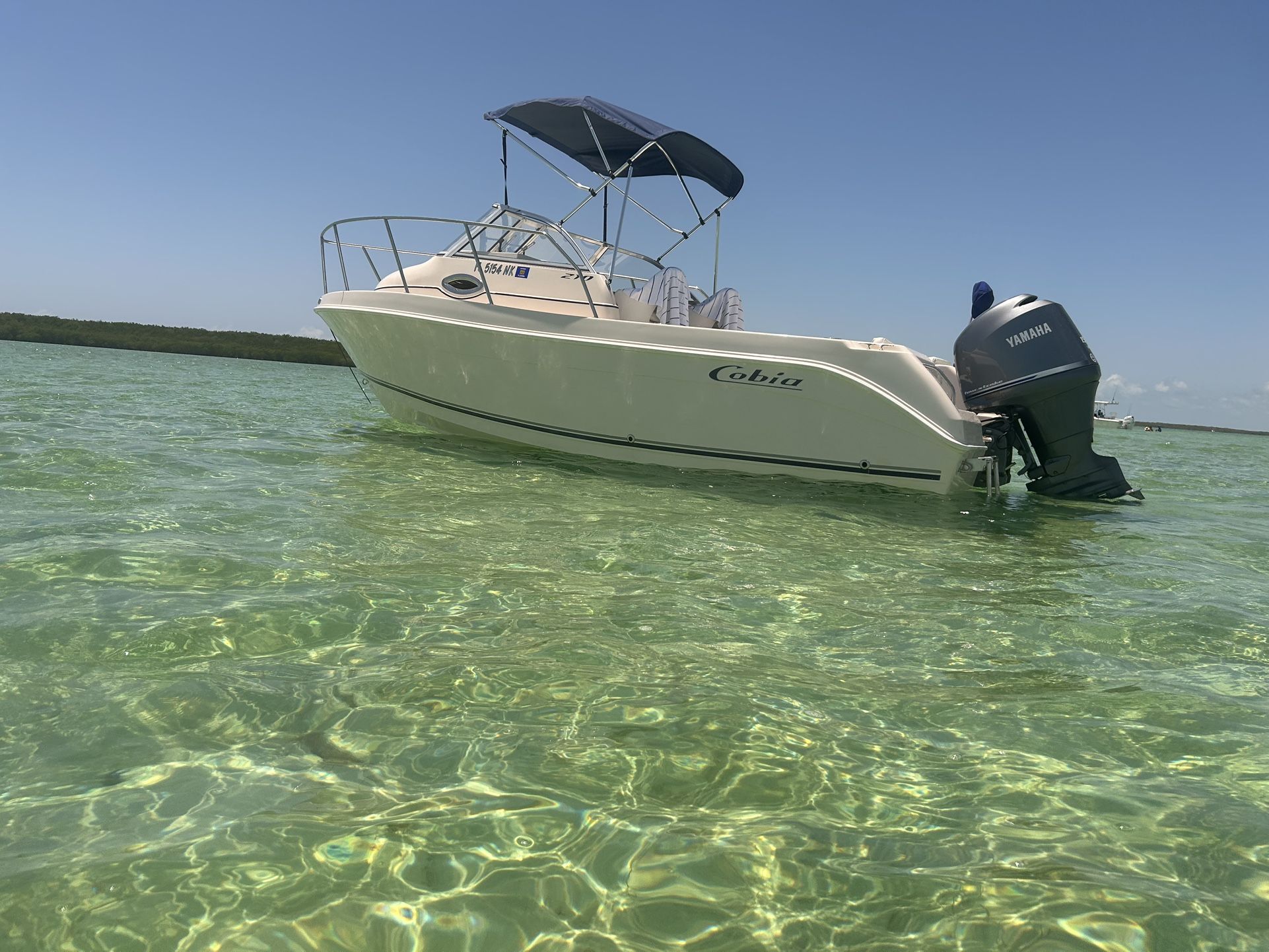 2006 Cobia 210 With 150 Yamaha Four Stroke