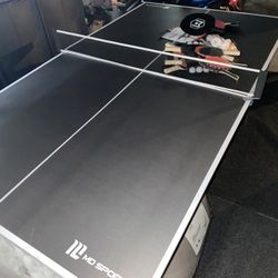 Ping Pong Table