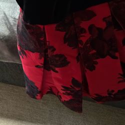 Formal/Homecoming Dress