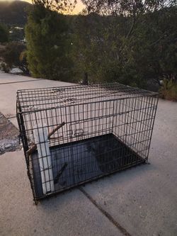 Large Dog crate